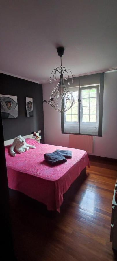 Nala House, Acogedor,Bien Comunicado,Aparcamiento Gratis En La Calle Bilbao Ngoại thất bức ảnh